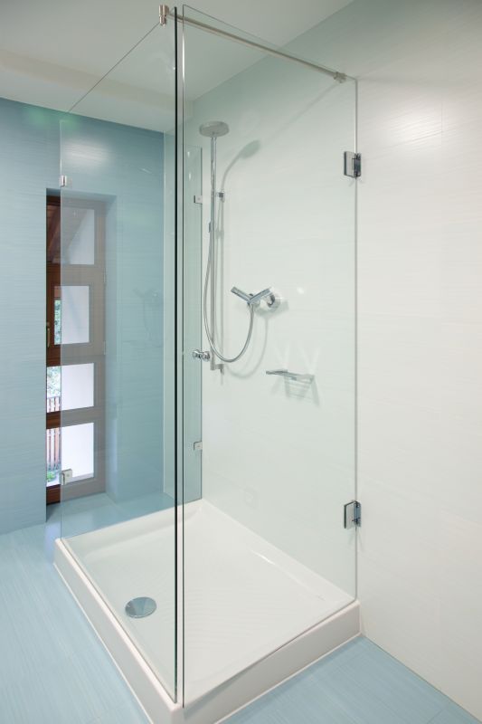 Modern Shower with Glass Doors